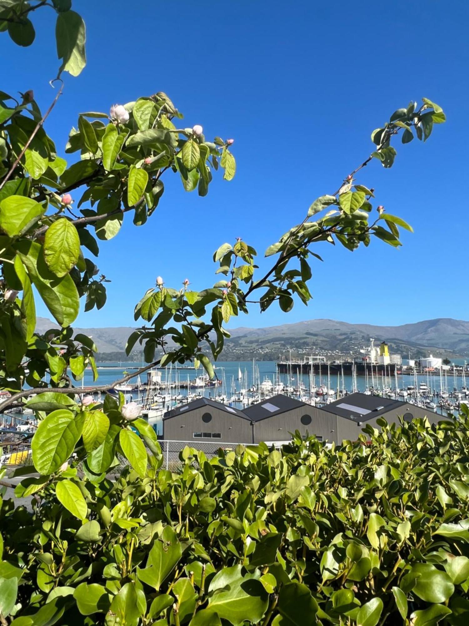 Sea Views In Luxury At Lyttelton Boatique House - 14 Km From Christchurch Ngoại thất bức ảnh